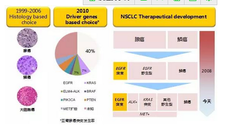韩宝惠：基于基因检测的精确肺癌诊断