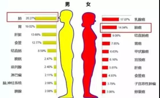 【全球24h抗癌突破】--最新男女高发癌种类公布！靶向药Acalabrutinib治疗慢性淋巴细胞白血病有新招！