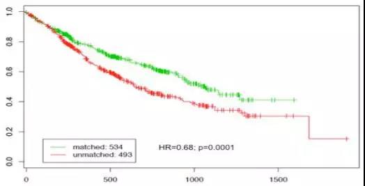 乳腺癌精准治疗就靠这个强劲武器