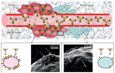 10种“意想不到”的癌症新技术！