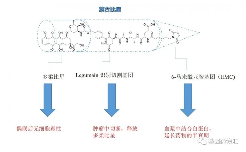 胃癌新药,五大胃癌靶点带来全新的胃癌靶向药物和胃癌PD1免疫治疗药物