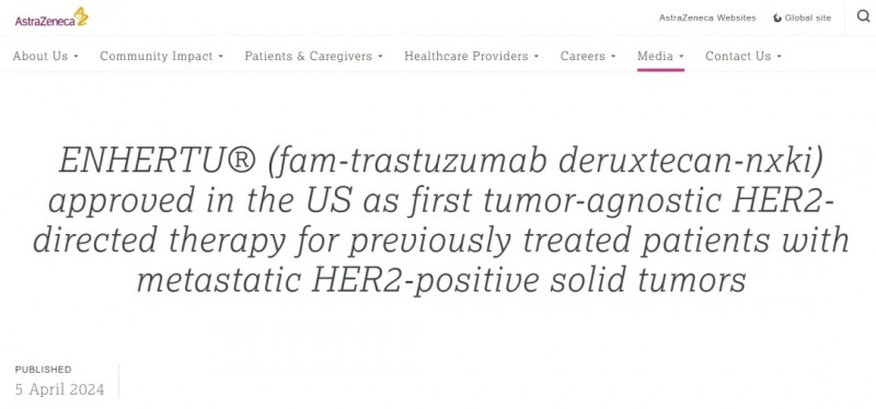 FDA批准靶向HER2的抗体偶联(ADC)药物德曲妥珠单抗(Enhertu、DS8201、T-DXd、Trastuzumab deruxtecan)治疗既往接受过治疗的转移性HER2阳性实体瘤