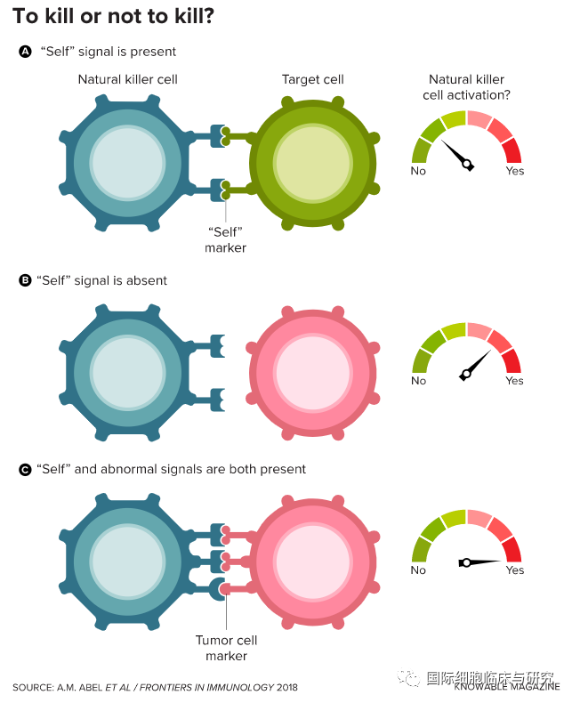 大肠癌预防复发,结肠癌预防复发,直肠癌预防复发,结直肠癌预防复发