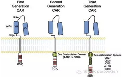 CAR-T江湖风云录