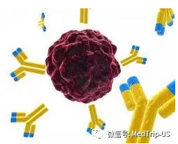 重磅！Pembrolizumab (帕姆单抗,Keytruda)治疗小细胞肺癌显成效！