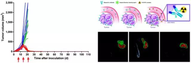 美国研究人员研发新技术，三步搞定结肠直肠癌！