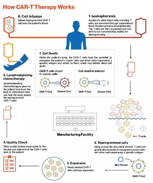 【招募患者】CM082联合依维莫司治疗肾癌II/III 期临床研究