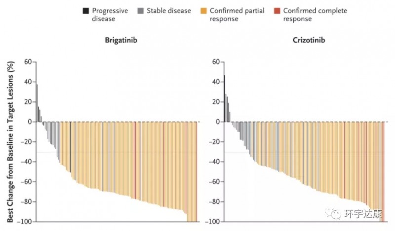 布加替尼治疗数据