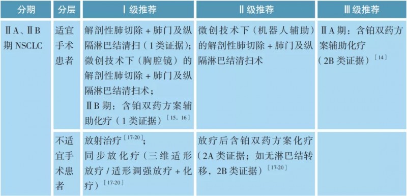 ⅡA、ⅡB 期非小细胞肺癌的治疗方案