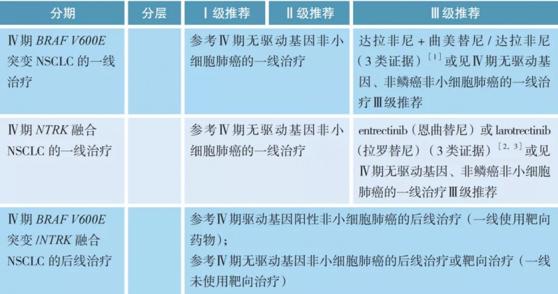 BRAF V600E 突变、NTRK 融合非小细胞肺癌治疗方案