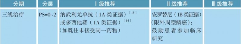 Ⅳ期无驱动基因、鳞癌的治疗方案