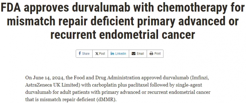 2024年6月14日FDA批准PD-L1抑制剂度伐利尤单抗注射液(Durvalumab、英飞凡/Imfinzi)用于治疗原发性晚期或复发性子宫内膜癌