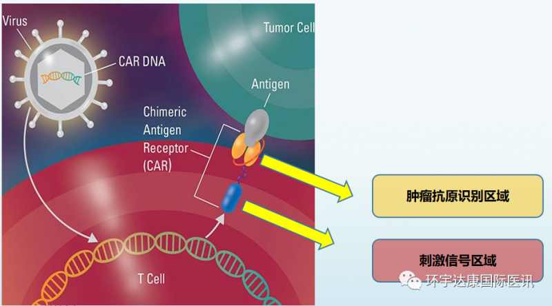 儿童肿瘤新技术有哪些,这3大创新疗法在中国启动临床招募!这些儿童肿瘤患者有救了​