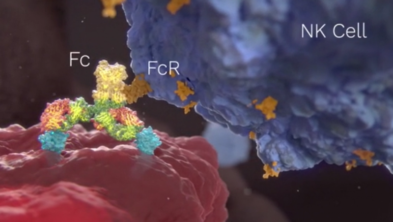 美国FDA胰腺癌新药TST001(Osemitamab、奥塞米单抗)孤儿药称号