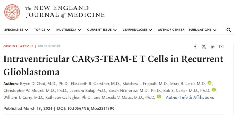 CARv3-TEAM-E T Cells报道