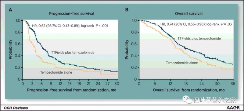 肿瘤电场疗法TTFields治疗原理是什么,肿瘤电场治疗费用、价格、多少钱