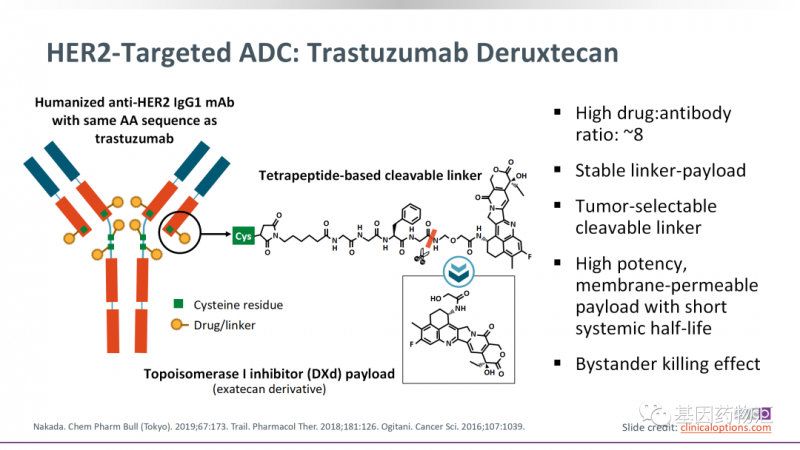 胃癌HER2阳性靶向药,"生物导弹"重装来袭,抗体偶联ADC药物新药开启胃癌治疗的新时代