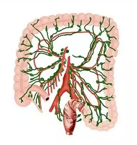 德国质子中心治疗腹膜后淋巴转移一例
