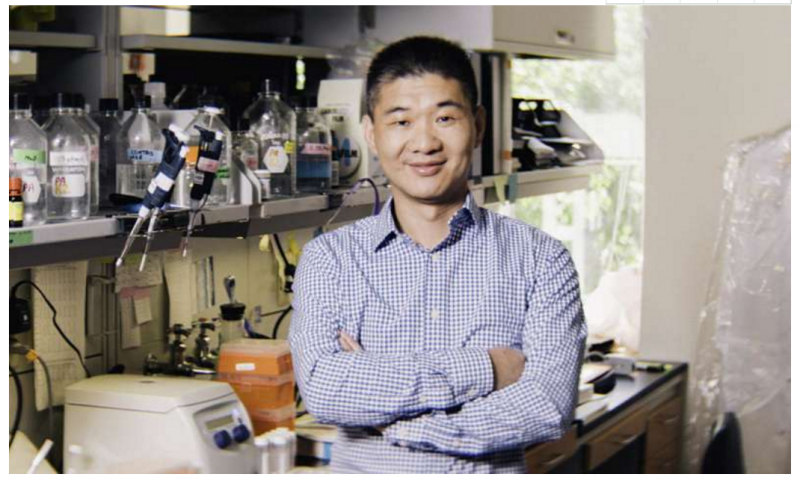 专家表示：FDA批准的白血病药物有望治疗卵巢癌