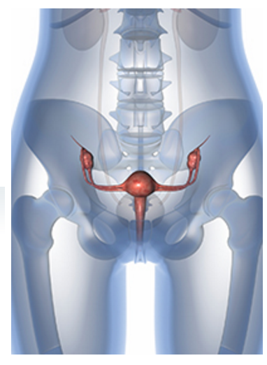 子宫内膜癌放化疗与单纯放疗效果相差无几 还要额外忍受化疗的痛苦吗