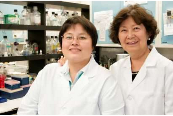 老药新用——抑郁症药物有望治疗前列腺癌