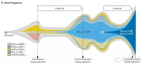 QQ图片20160201141628