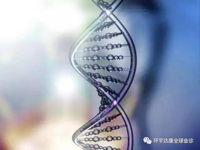 首席医疗官强烈呼吁：每个癌症患者都应进行基因测序！