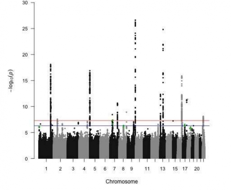 胰腺癌风险高原来与这5种新基因变化有关
