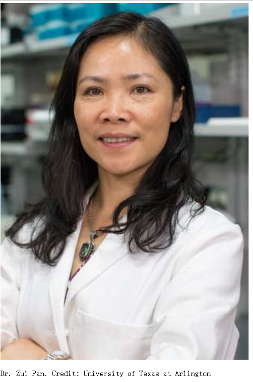 纳米携带化疗药物技术进军食管癌治疗