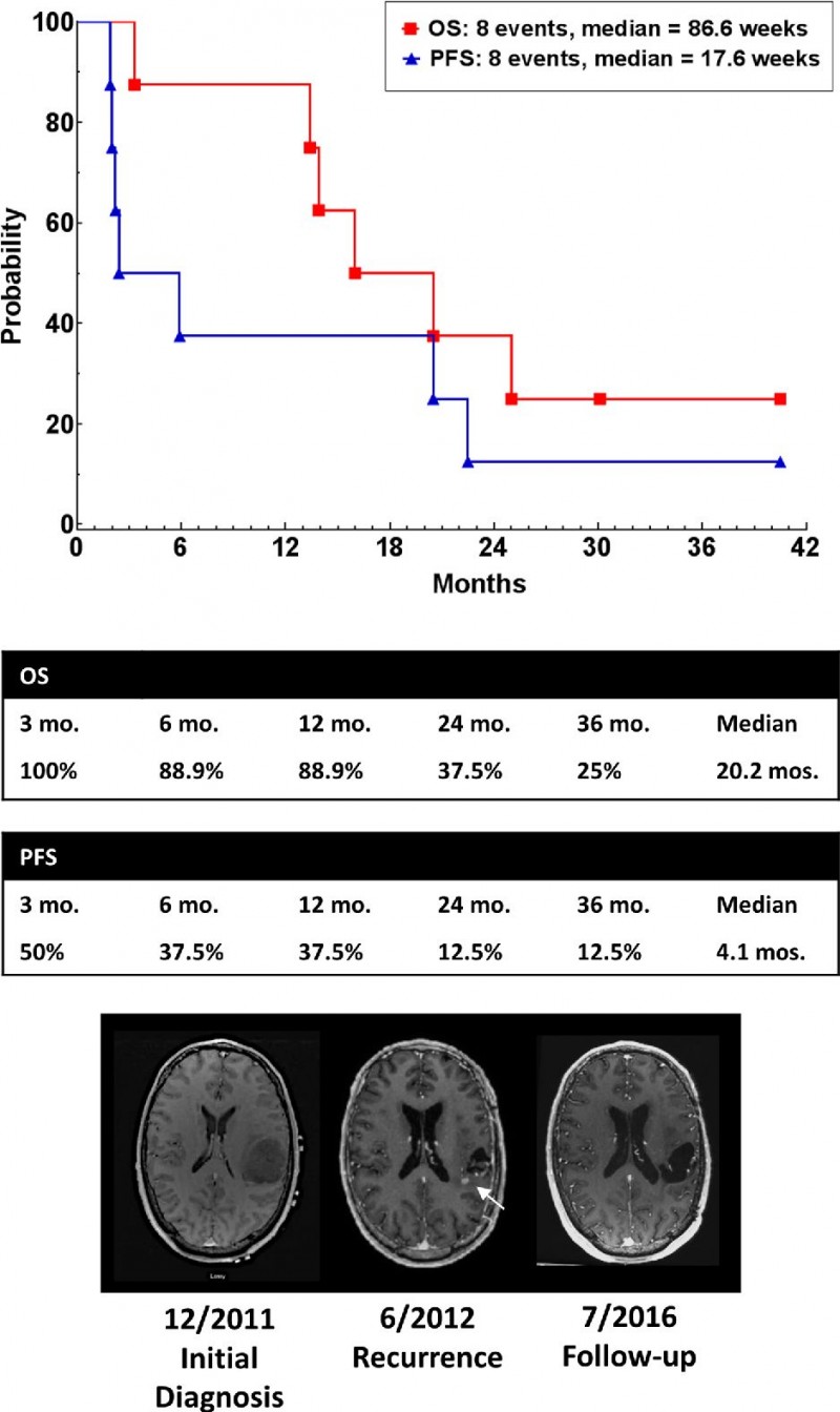 胶质母细胞瘤疫苗,SurvaxM疫苗,树突状细胞疫苗AV-GBM-1,PI3K抑制剂Paxalisib