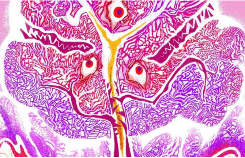 消炎可能是胃肠癌治疗的另一个方向