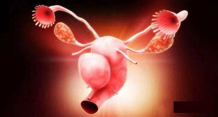 NK细胞疗法治疗案例,NK细胞免疫疗法治疗卵巢癌腹腔积液,两个疗程后有效率为66.7%