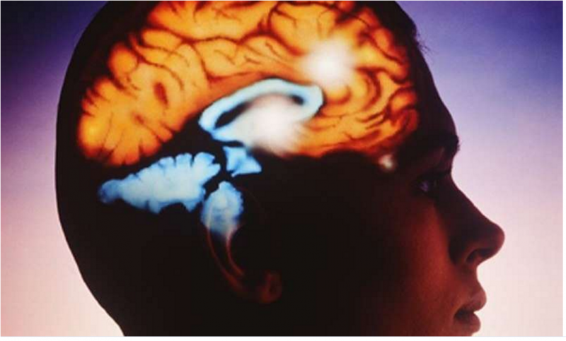 癌症治疗新方向：灭活病毒治疗脑瘤