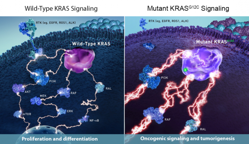 2020年结直肠癌靶点解读及结直肠癌靶向治疗药物,结直肠癌免疫治疗(PD-1/PD-L1)药物进展盘点