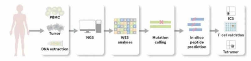 OCDC疫苗治疗过程