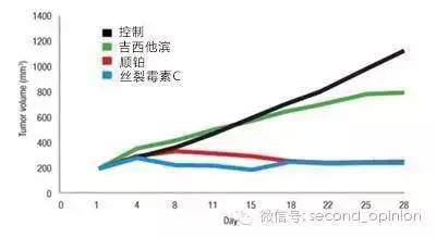 技术可帮助癌症患者精准匹配最佳药物