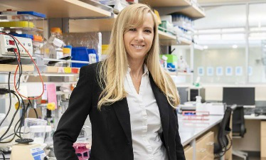 科学家找到治疗脑胶质瘤的新靶点