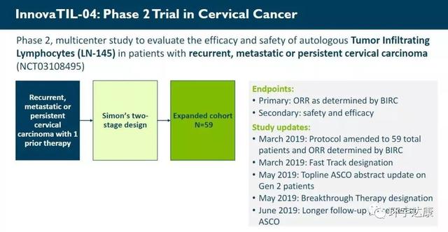 宫颈癌治疗,宫颈癌免疫治疗,宫颈癌免疫疗法