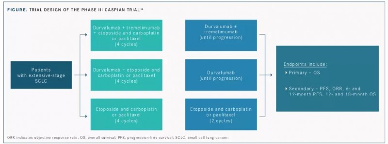 I药柳叶刀杂志发表的数据
