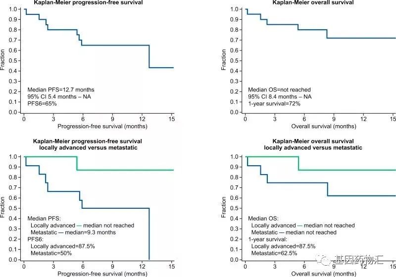 电场疗法+吉西他滨+白蛋白紫杉醇治疗胰腺癌的数据