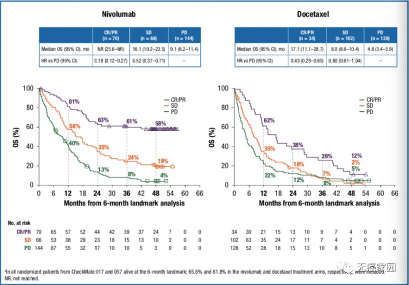 nivolumab和诺西他赛治疗对比