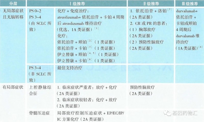 广泛期小细胞肺癌初始(一线)治疗方案