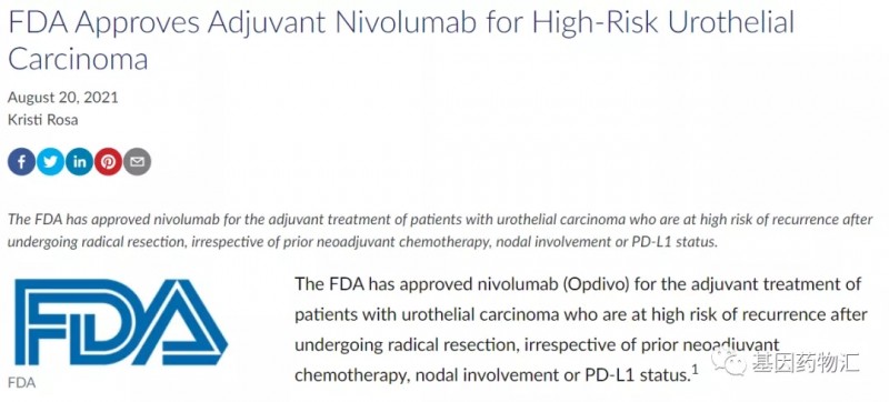 速递|尿路上皮癌(PD1)免疫治疗药物,纳武单抗辅助治疗尿路上皮癌新适应症获批