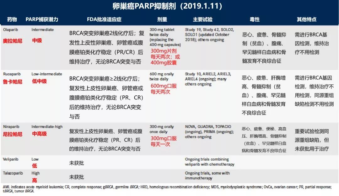 卵巢癌术后复发、铂类耐药不可怕！PARP类靶向药您了解过吗？