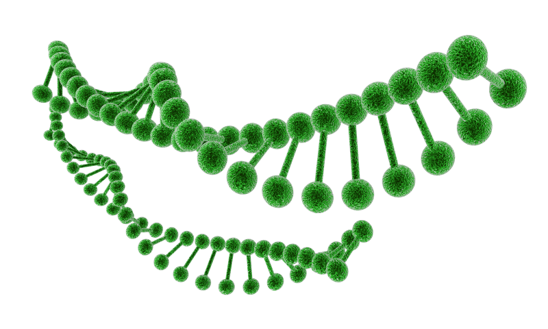 脑瘤无创治疗技术—意大利速锋刀