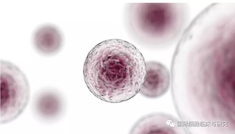 Cancer cell发文:"冷肿瘤"前列腺癌免疫联合治疗使患者持久获益