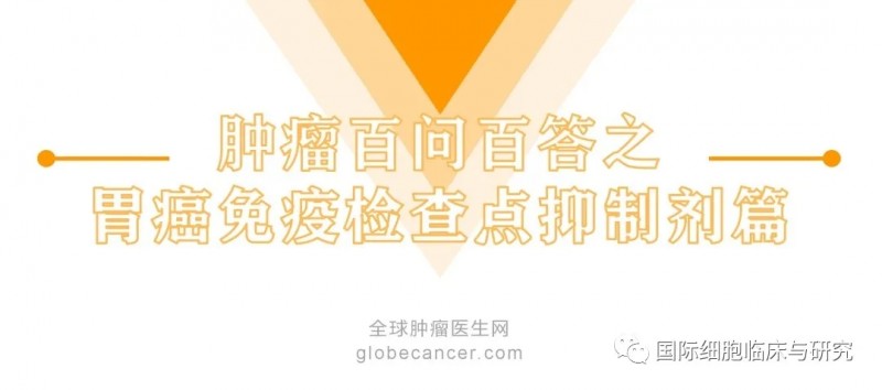 胃癌免疫治疗药物纳武利尤单抗(Nivolumab、纳武单抗、尼鲁单抗)|O药(欧狄沃、奥德武、Opdivo)一疗程多少钱、国内价格、副作用
