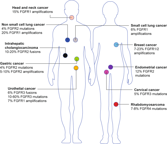 胰腺癌FGFR抑制剂,仅用一周的时间就帮助患者从失能到自主行走