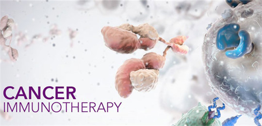 癌症生存的超人：免疫治疗怎样改写着肿瘤学