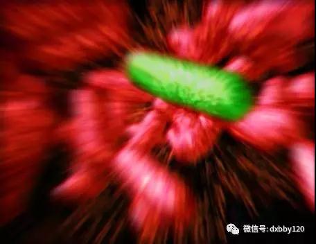 确诊慢粒白血病，不能落下的两大检查项目